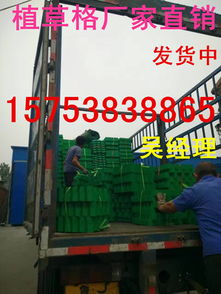 延边植草格厂家生产销售各种规格植草格15753838865高清图片 高清大图